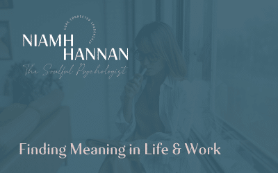 Finding Meaning in Life & Work